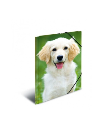 Herma Sammelmappe A3 Hunde Polypropylen
