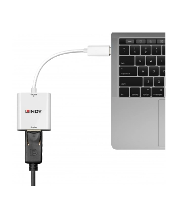Lindy Przejściówka USB 3.1 typu C (wtyk) Display Port (gniazdo) nr 2