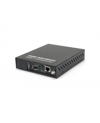 LEVELONE  MEDIA KONVERTER  RJ45&GT;SFP SC MM (GVM1000)