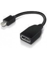 Lenovo mini DisplayPort/DisplayPort (4X90L13971) - nr 4