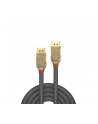 Lindy Kabel DisplayPort 1.4 2m (LY36292) - nr 1