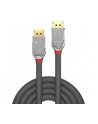 Lindy Kabel DisplayPort 1.2 Cromo Line 5m (LY36304) - nr 25