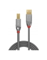 Lindy 36642 Kabel USB 2.0 A-B Cromo Line 2m (ly36642) - nr 22