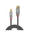 Lindy Kabel USB 3.0/3.1 A-B Cromo Line 3m  LY36663 - nr 11