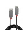 Lindy Kabel USB 2.0 A-A Anthra Line 5m  LY36695 - nr 10