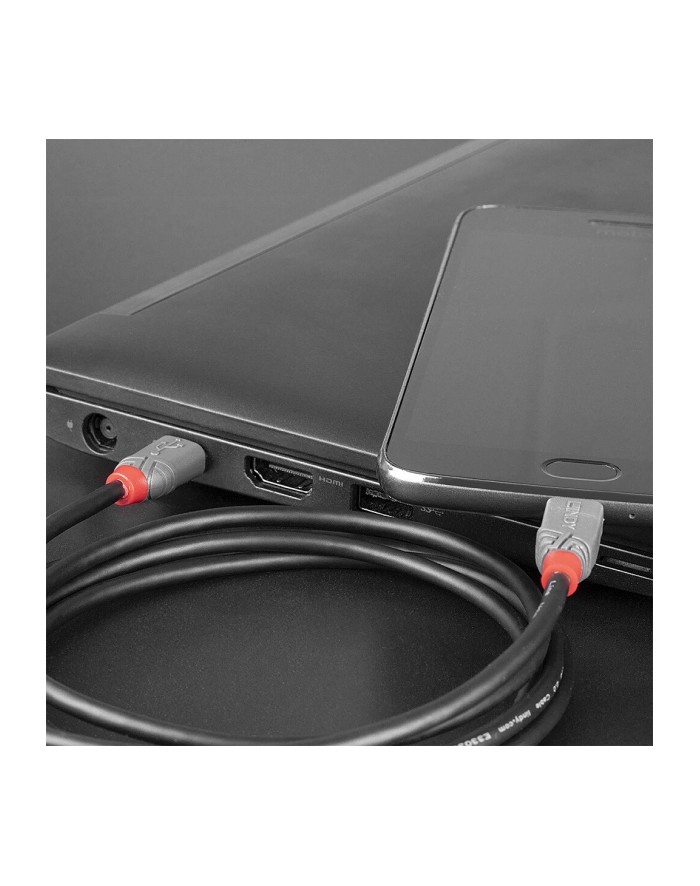 Lindy Kabel Usb 2.0 Typ C Micro B Anthra Line 2m (Ly36892) główny