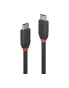 LINDY Kabel 3.1 USB C 1m (36906) - nr 11