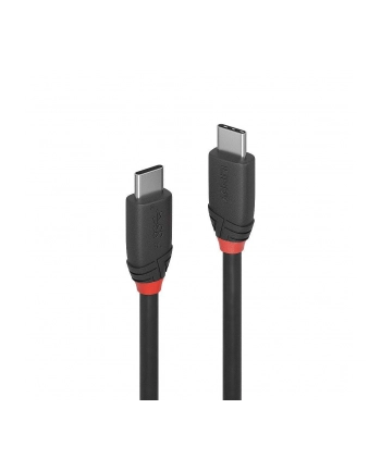LINDY Kabel 3.1 USB C 1m (36906) nr 2