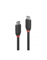 LINDY Kabel 3.1 USB C 1m (36906) - nr 18