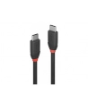 LINDY Kabel 3.1 USB C 1m (36906) - nr 5