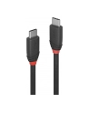 LINDY Kabel 3.1 USB C 1m (36906) - nr 9