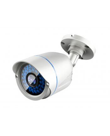 LEVELONE ACS-5602 - SURVEILLANCE CAMERA