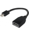 Lenovo mini DisplayPort/DisplayPort (4X90L13971) - nr 5