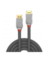 Lindy Kabel DisplayPort 1.2 Cromo Line 5m (LY36304) - nr 24