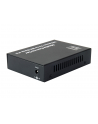 LEVELONE   - FIBRE MEDIA CONVERTER - 10 GIGE (GVT0500) - nr 2