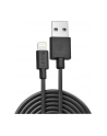 Lindy USB Apple Lightning 3m (ly31322) - nr 10