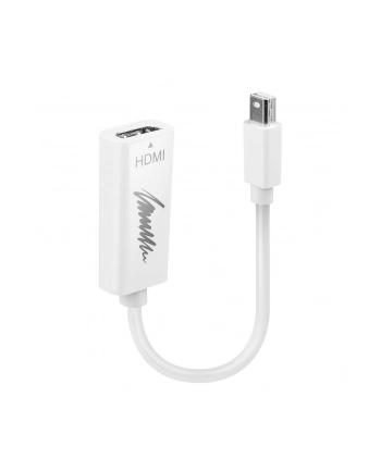 LINDY mini DisplayPort/HDMI (41719) nr 1