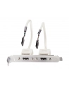 Lindy USB-adapter / 2 x 5 IDC, 0.20m (33147) - nr 10