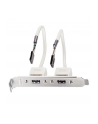 Lindy USB-adapter / 2 x 5 IDC, 0.20m (33147) - nr 1