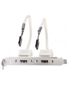 Lindy USB-adapter / 2 x 5 IDC, 0.20m (33147) - nr 2
