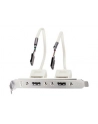 Lindy USB-adapter / 2 x 5 IDC, 0.20m (33147) - nr 3