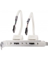 Lindy USB-adapter / 2 x 5 IDC, 0.20m (33147) - nr 5