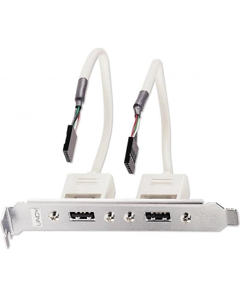 Lindy USB-adapter / 2 x 5 IDC, 0.20m (33147)