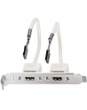 Lindy USB-adapter / 2 x 5 IDC, 0.20m (33147) - nr 7