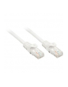 Lindy Patchcord kat.6 U/UTP 0,5m Biały (48201) - nr 3