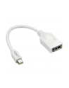 Lindy 41021 Adapter Mini DisplayPort DisplayPort (ly41021) - nr 1