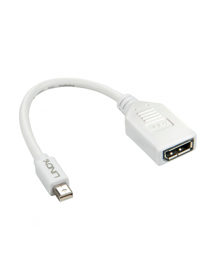 Lindy 41021 Adapter Mini DisplayPort DisplayPort (ly41021) główny