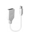 Lindy 41021 Adapter Mini DisplayPort DisplayPort (ly41021) - nr 21