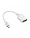 Lindy 41021 Adapter Mini DisplayPort DisplayPort (ly41021) - nr 22