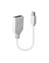 Lindy 41021 Adapter Mini DisplayPort DisplayPort (ly41021) - nr 23