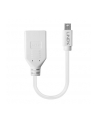 Lindy 41021 Adapter Mini DisplayPort DisplayPort (ly41021) - nr 24