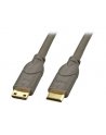 Lindy 0.5m HDMI CAT2 (41040) - nr 10