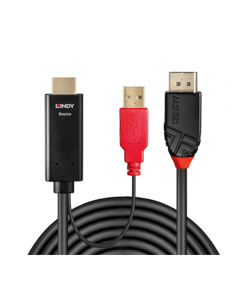 Lindy 41425 Kabel HDMI Display Port 1.2 z USB zasilającym 1m (ly41425) nr 1