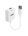 Lindy Konwerter Hdmi Na Displayport (38146) - nr 12
