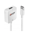 Lindy Konwerter Hdmi Na Displayport (38146) - nr 20