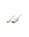 Lindy Kabel Mini Display Port - Display Port 41057 2m - nr 10