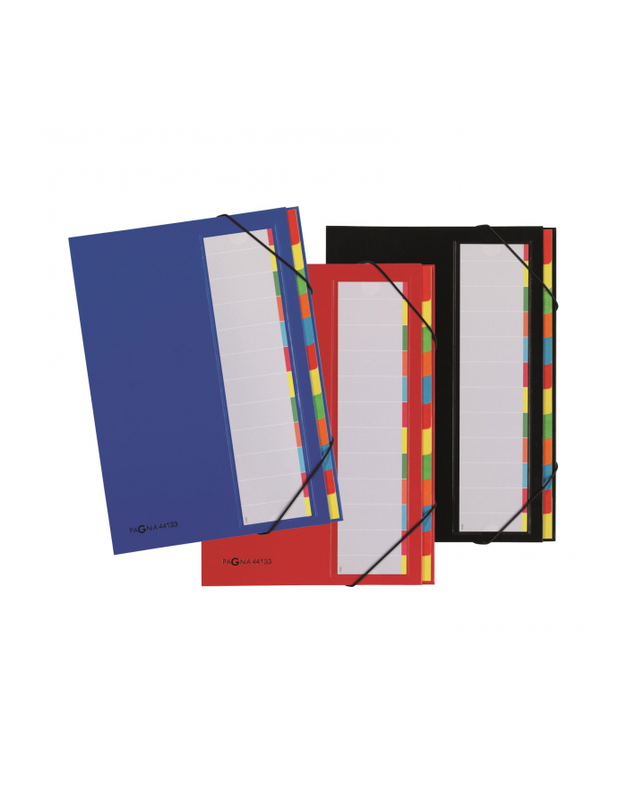 PAGNA 44133-01 OKŁADKA KARTON, PAPIER, POLIESTER, GUMA CZERWONY główny