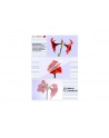 Olympia DIN A4 125 micron 9176 - nr 14