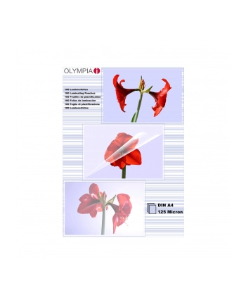 Olympia DIN A4 125 micron 9176 nr 1