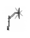 Techly ICA-LCD 515B uchwyt do monitora 81,3 cm (32'') Zacisk Czarny - nr 13