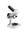 Bresser Mikroskop Junior Światło Odbite X20 B8852500 - nr 3