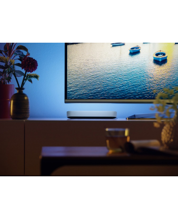 Philips Hue White and color ambiance Play biały 2 szt. 7820231P7