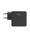 Ładowarka domowa Ansmann 254PD 1xUSB 1xUSB Type-C PD 60W 4700mA - nr 11