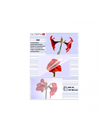 Olympia DIN A5 125 micron 9177 nr 2