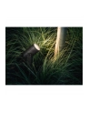 Philips Hue White and Color Ambiance Lily czarny 1741530P7 - nr 22