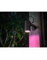 Philips Hue White and Color Ambiance Lily czarny 1741530P7 - nr 41